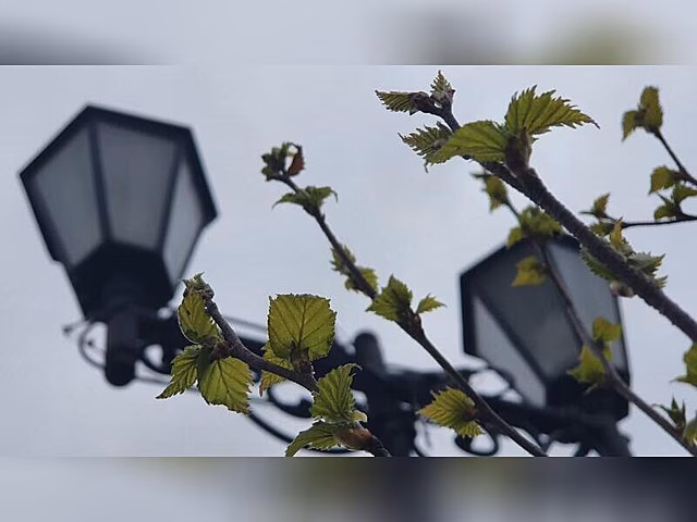 В микрорайоне Добротный установят 186 фонарей